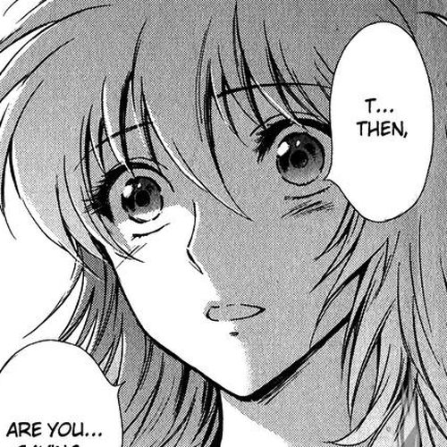 Saint Seiya - Saintia Shou Chapter 13: Galaxian Wars cover