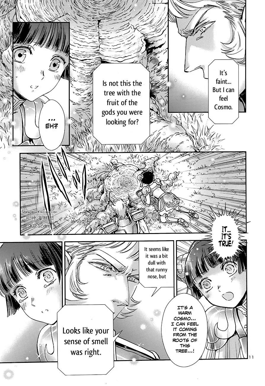 Saint Seiya - Saintia Shou Chapter 41 page 12 - Chapter 41: The Comet Repulse