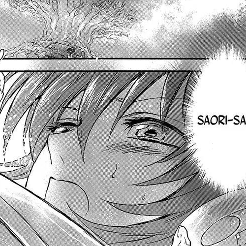 Saint Seiya - Saintia Shou Chapter 46: To the Stage of Battle cover