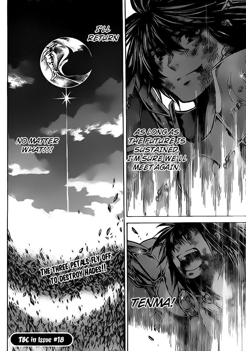 Saint Seiya - The Lost Canvas Chapter 221 page 18 - Chapter 221: Connected Petals
