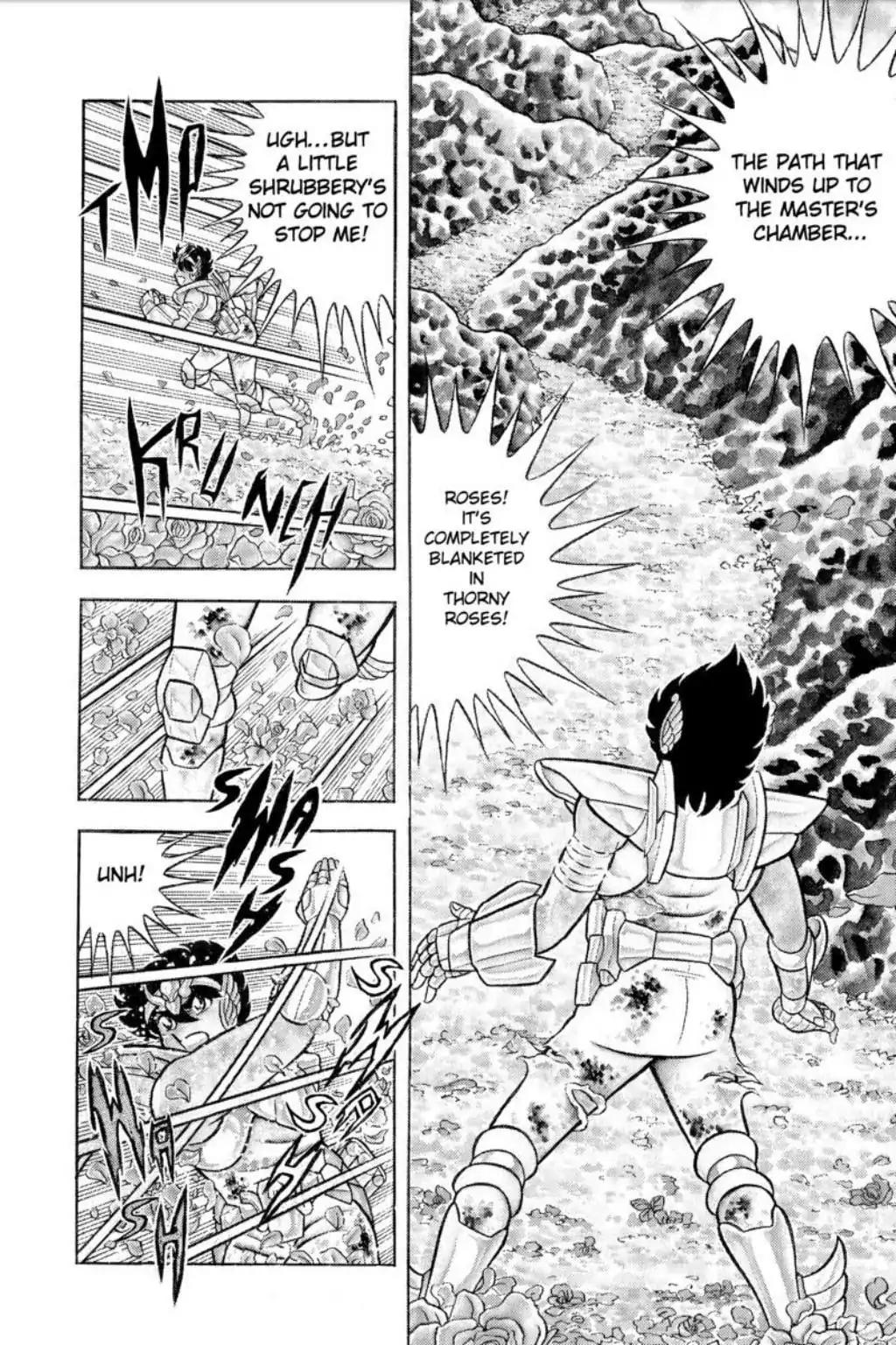 Saint Seiya Chapter 43 page 15 - Chapter 43: The Funeral Procession Of Roses