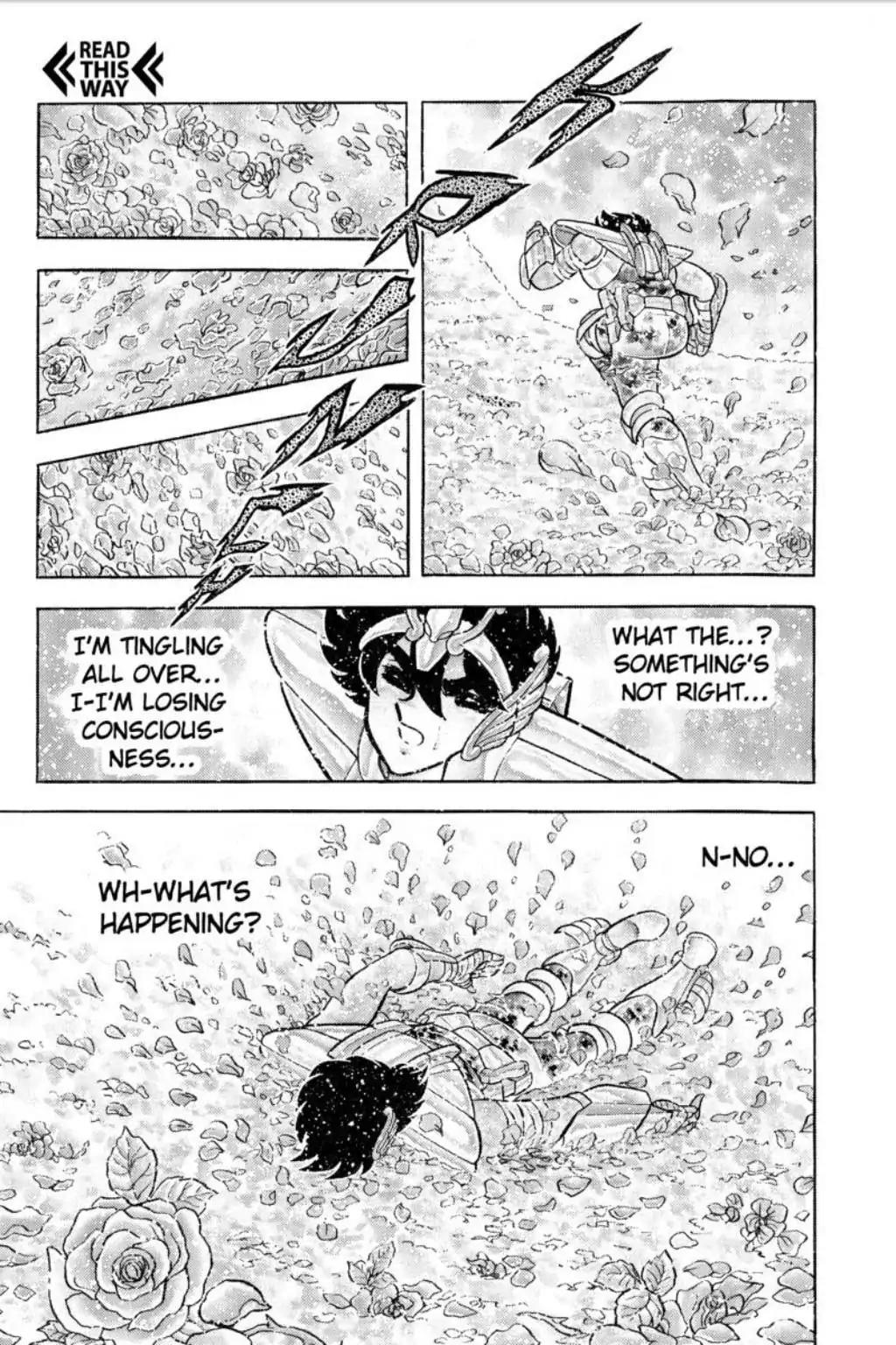Saint Seiya Chapter 43 page 16 - Chapter 43: The Funeral Procession Of Roses