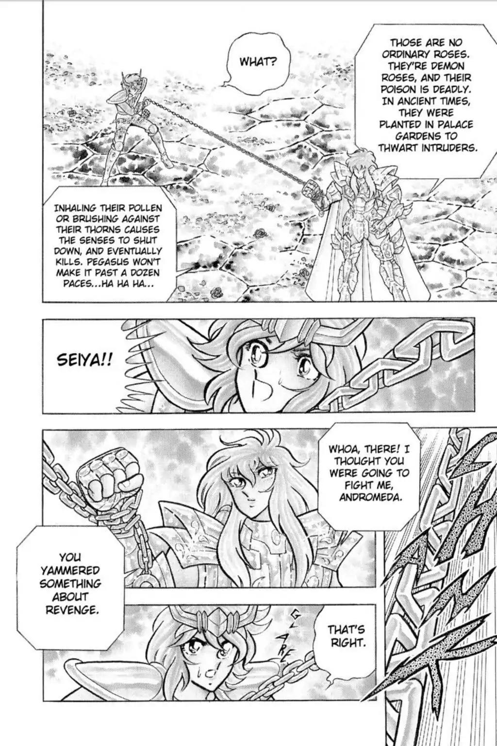 Saint Seiya Chapter 43 page 17 - Chapter 43: The Funeral Procession Of Roses