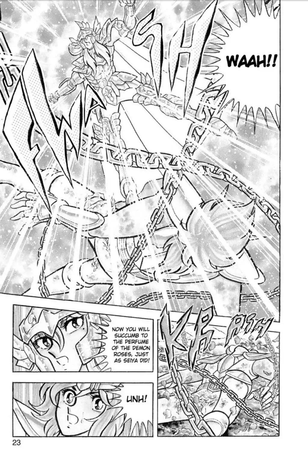 Saint Seiya Chapter 43 page 22 - Chapter 43: The Funeral Procession Of Roses