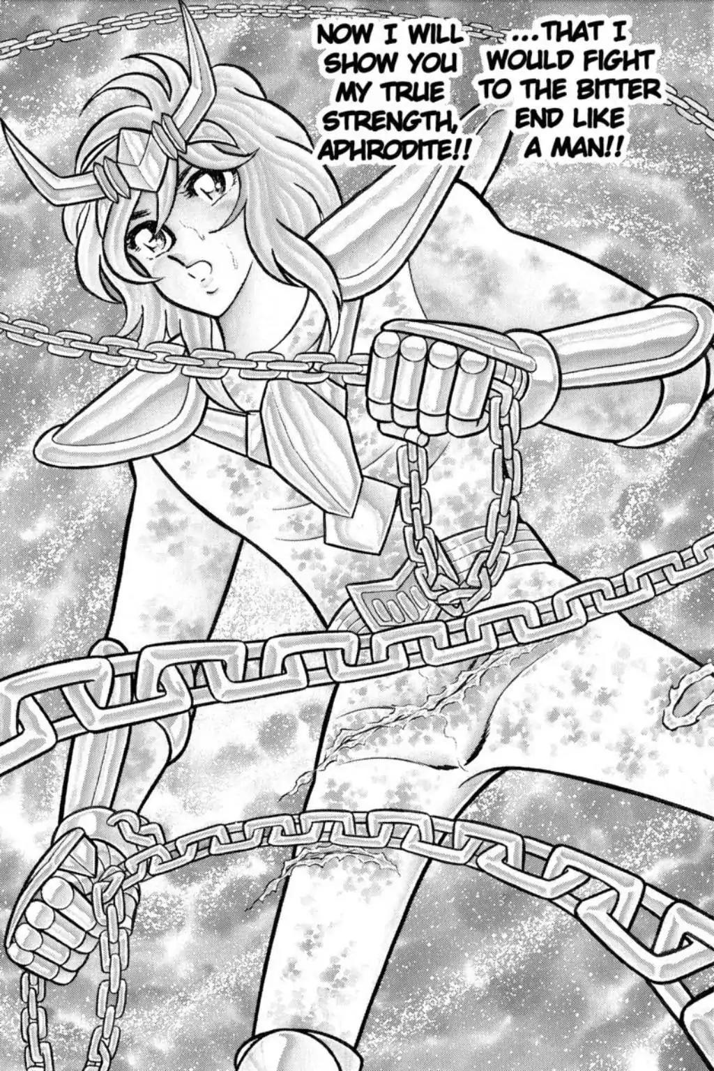 Saint Seiya Chapter 43 page 25 - Chapter 43: The Funeral Procession Of Roses