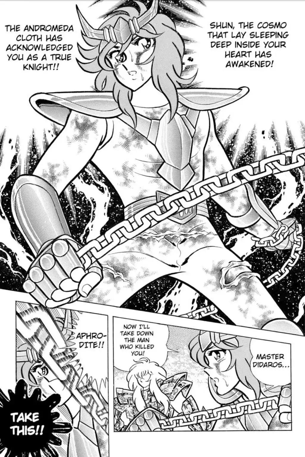 Saint Seiya Chapter 43 page 43 - Chapter 43: The Funeral Procession Of Roses