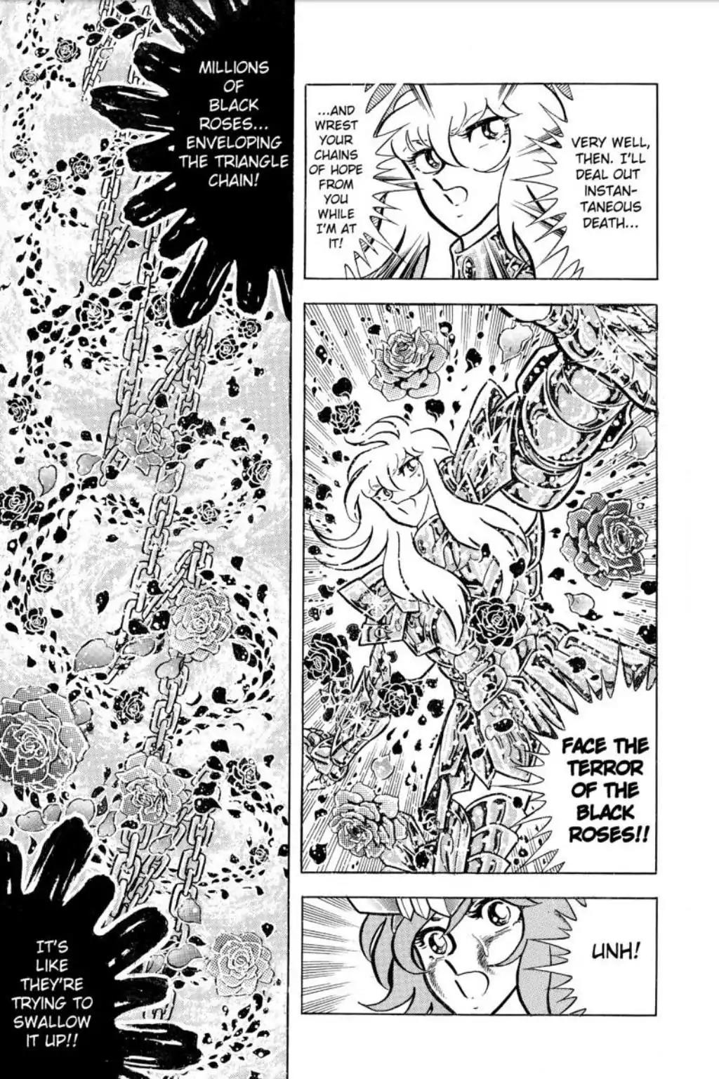 Saint Seiya Chapter 43 page 47 - Chapter 43: The Funeral Procession Of Roses