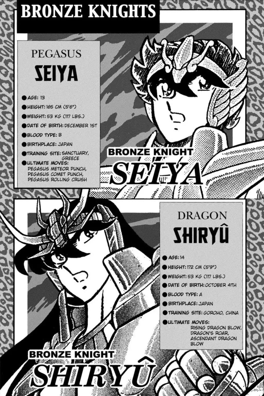 Saint Seiya Chapter 48 page 33 - Chapter 48: The Swan's Tale - Natassia Of The Land Of Ice
