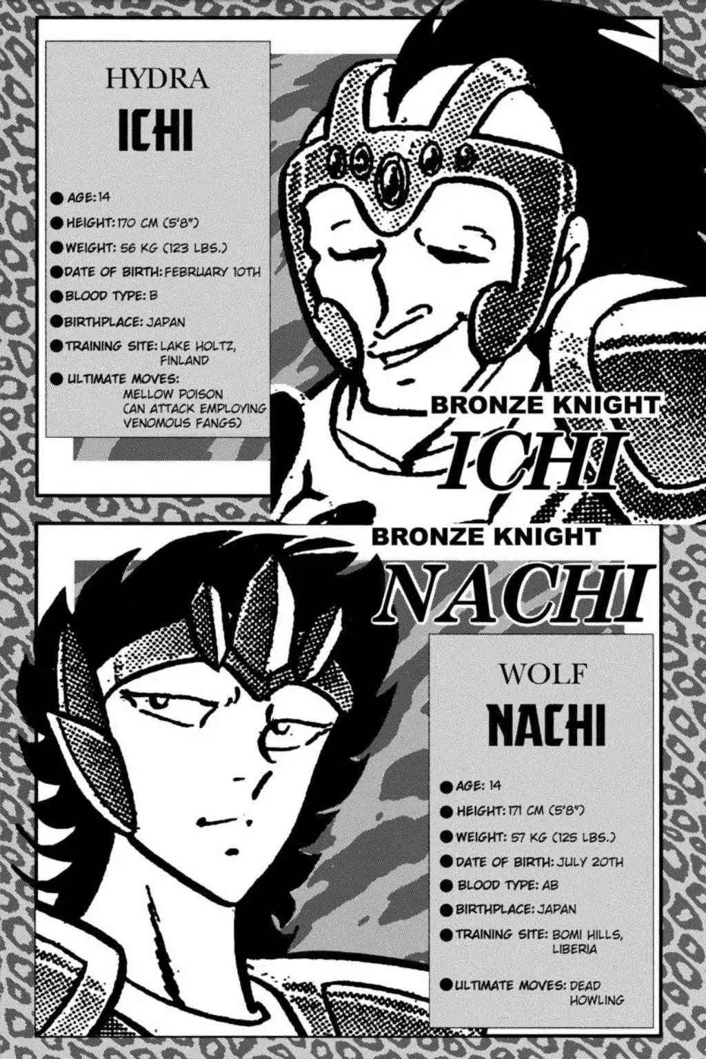 Saint Seiya Chapter 48 page 37 - Chapter 48: The Swan's Tale - Natassia Of The Land Of Ice