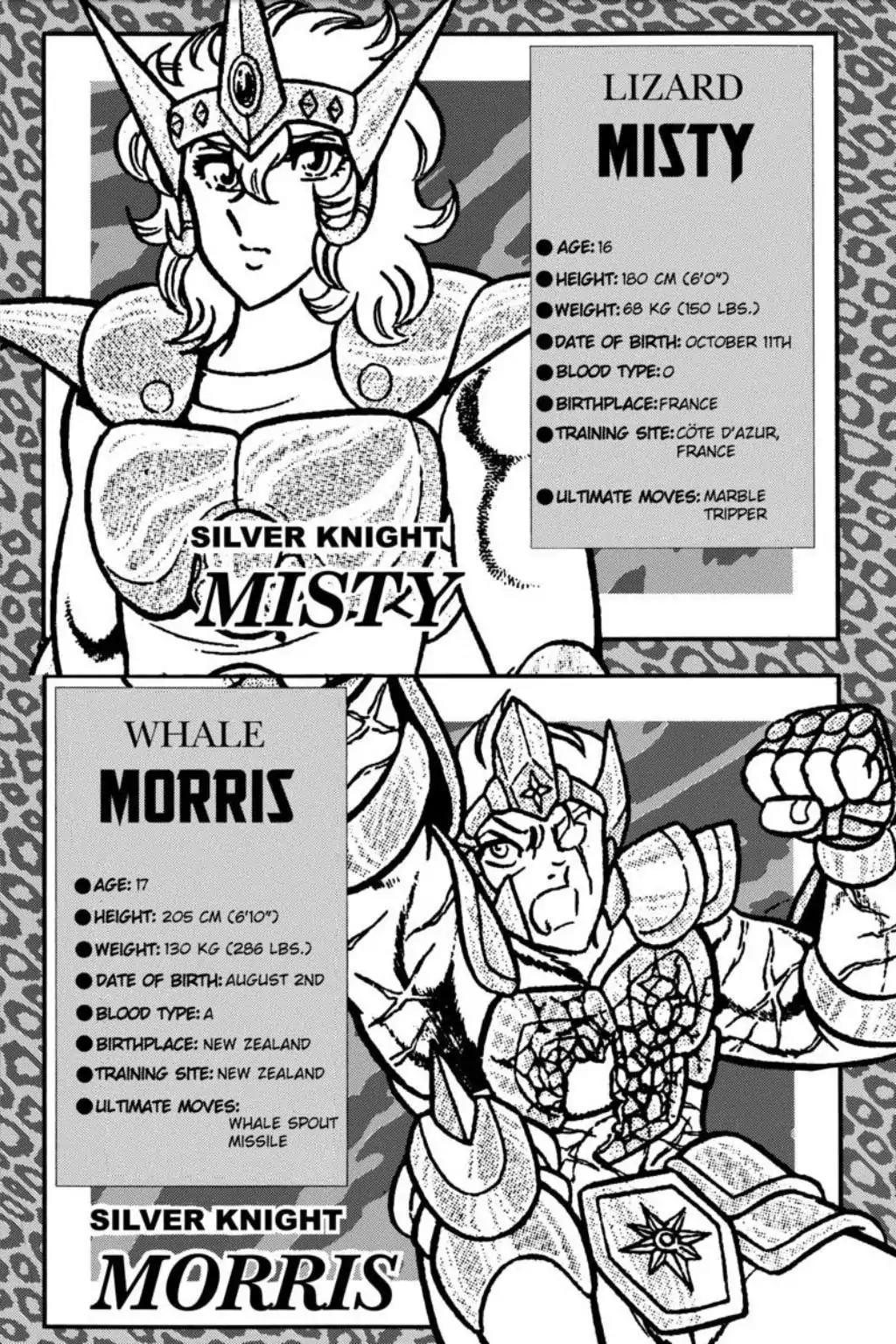 Saint Seiya Chapter 48 page 43 - Chapter 48: The Swan's Tale - Natassia Of The Land Of Ice