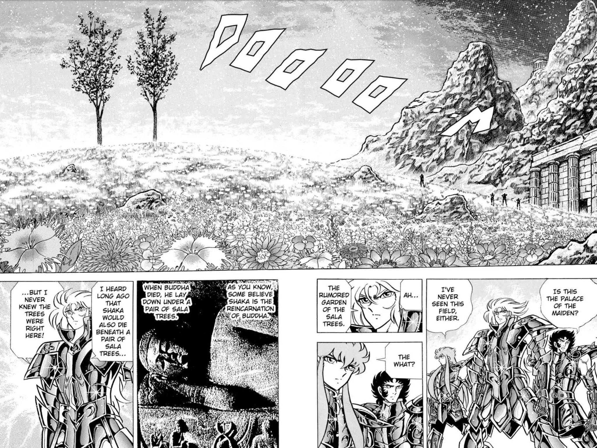 Saint Seiya Chapter 79 page 20 - Chapter 79: Under The Sala Trees