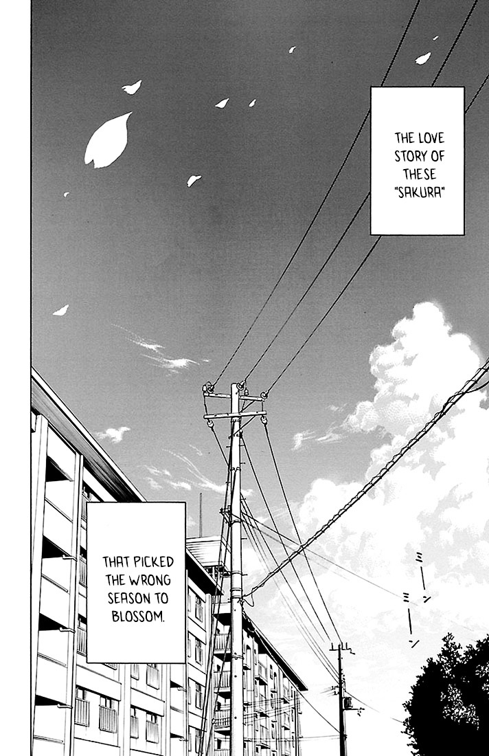 Sakura Discord Chapter 26 page 24 - Chapter 26 : Cherry blossoms in summer