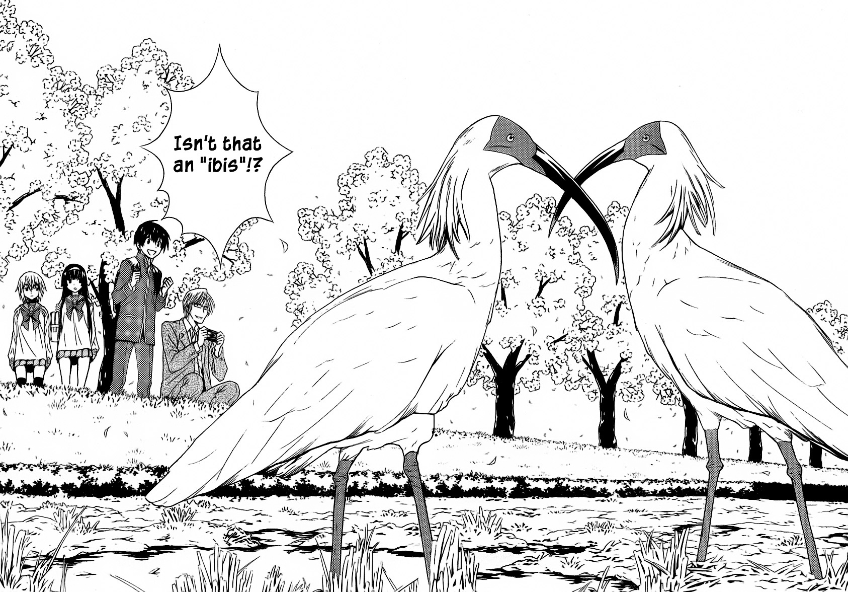 Sakura Sakura (Morishige) Chapter 5 page 6 - Chapter 5 : Blood Flows with Time
