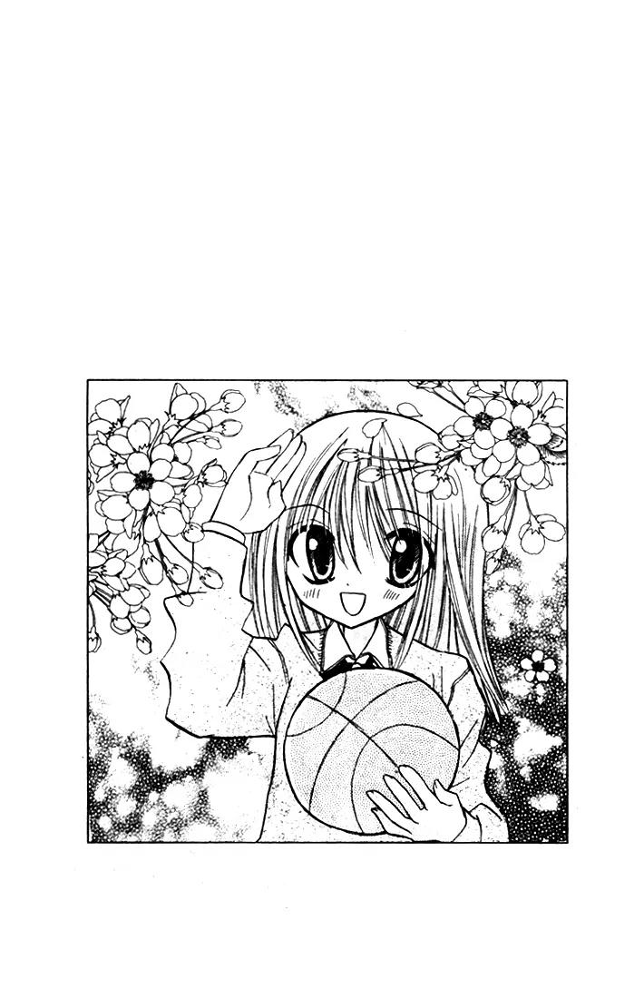 Sakura Zensen Chapter 1 page 8 - Chapter 1: Take My Orders
