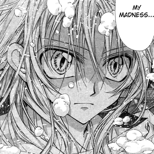 Sakurahime Kaden Chapter 11 cover