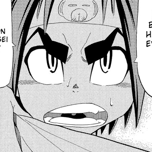 Samurai Usagi Chapter 18: The Shachihoko of the Honma Family cover
