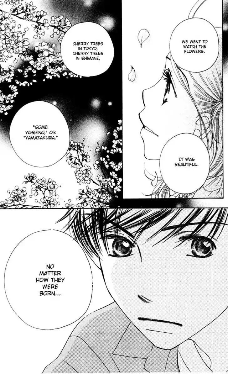 Sand Chronicles Chapter 4 page 71 - Chapter 4: Spring, 16 years old: Cherry Blossoms
