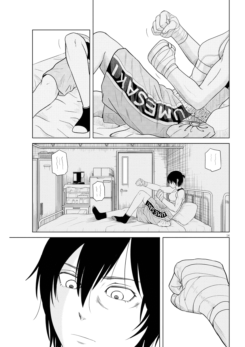 Saotome Girl, Hitakakusu Chapter 79 page 14 - Chapter 79: Saotome Senshu, The Hanami Sisters