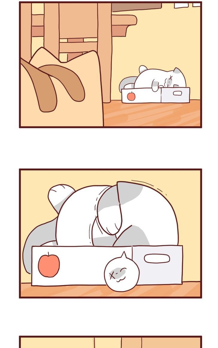 Saphie: The One-Eyed Cat Chapter 10 page 10 - Chapter 10 : Trendsetter