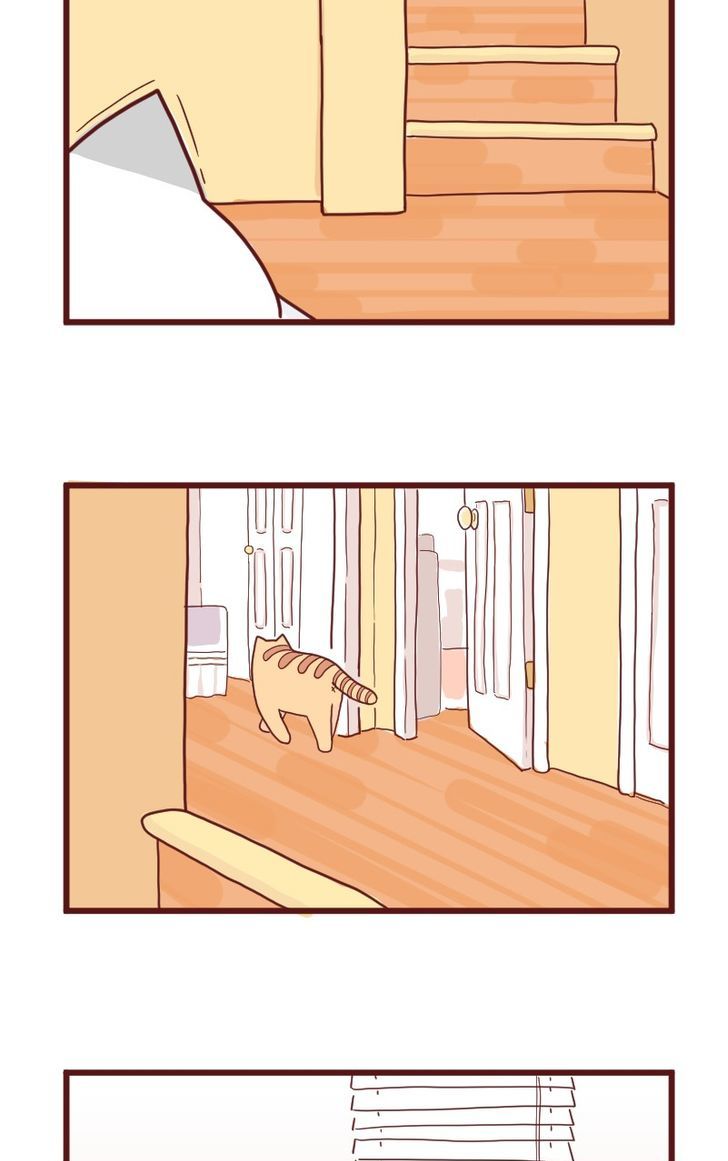 Saphie: The One-Eyed Cat Chapter 10 page 12 - Chapter 10 : Trendsetter