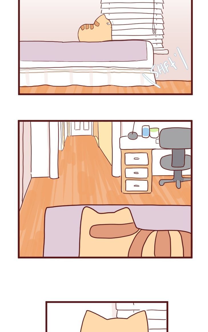 Saphie: The One-Eyed Cat Chapter 10 page 14 - Chapter 10 : Trendsetter