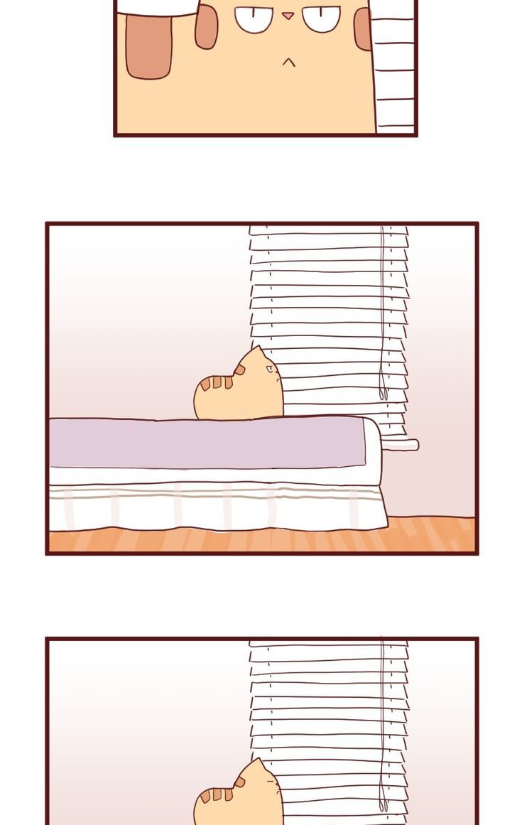 Saphie: The One-Eyed Cat Chapter 10 page 15 - Chapter 10 : Trendsetter