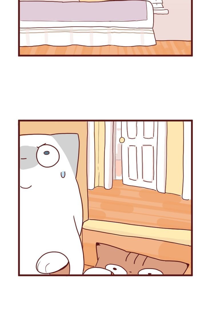 Saphie: The One-Eyed Cat Chapter 10 page 16 - Chapter 10 : Trendsetter