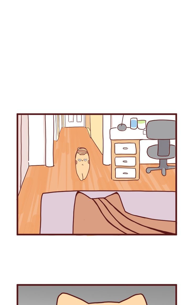 Saphie: The One-Eyed Cat Chapter 10 page 17 - Chapter 10 : Trendsetter