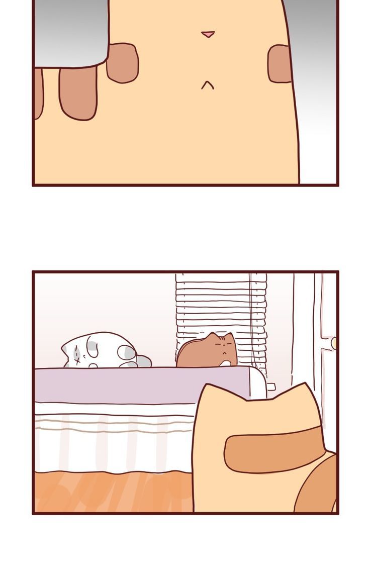 Saphie: The One-Eyed Cat Chapter 10 page 18 - Chapter 10 : Trendsetter