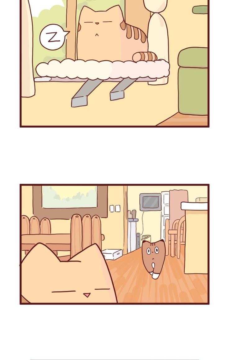 Saphie: The One-Eyed Cat Chapter 10 page 2 - Chapter 10 : Trendsetter