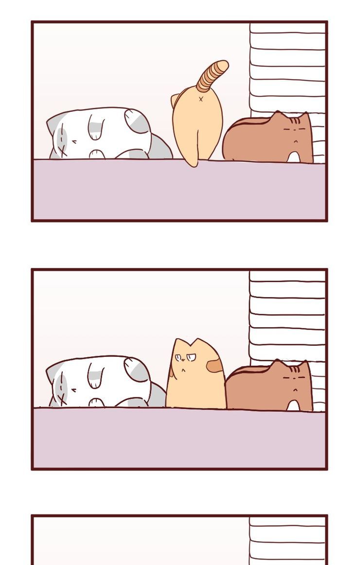 Saphie: The One-Eyed Cat Chapter 10 page 20 - Chapter 10 : Trendsetter