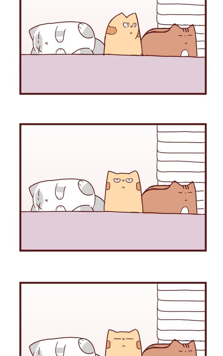 Saphie: The One-Eyed Cat Chapter 10 page 21 - Chapter 10 : Trendsetter