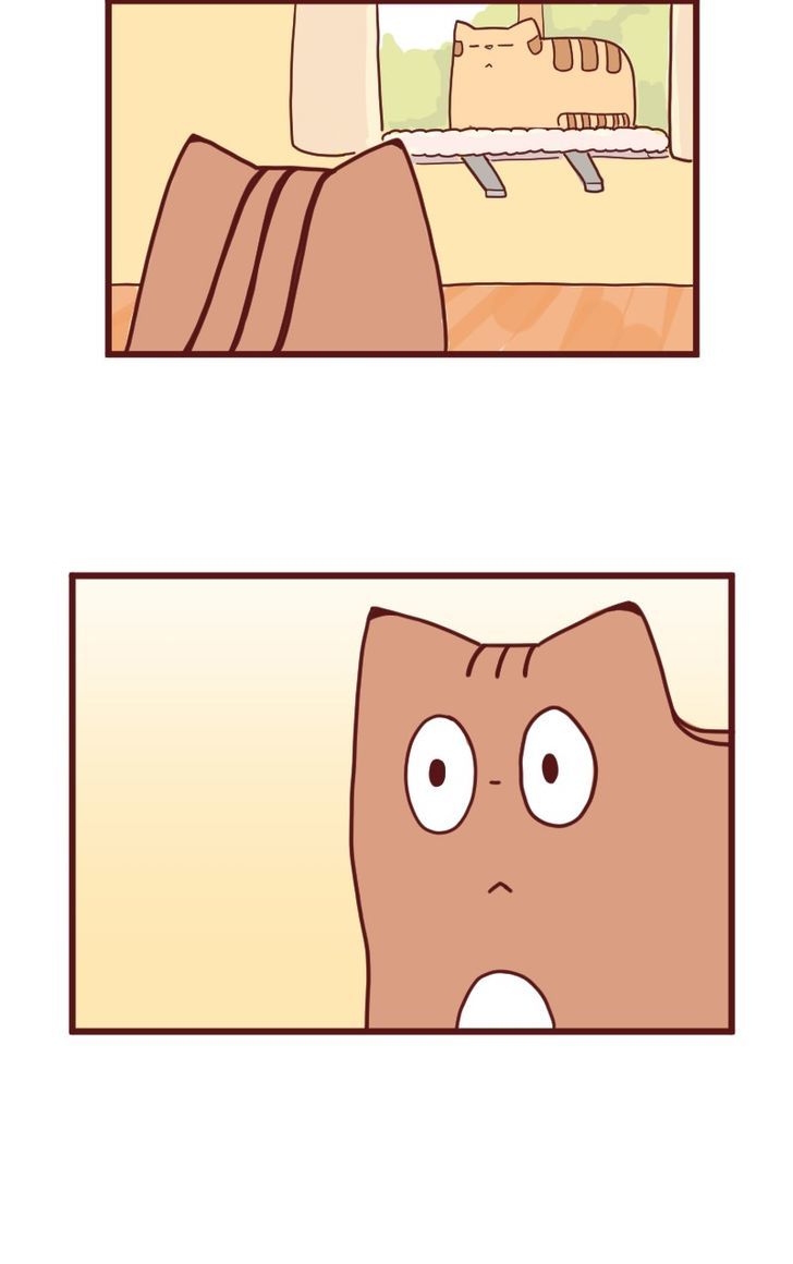 Saphie: The One-Eyed Cat Chapter 10 page 3 - Chapter 10 : Trendsetter