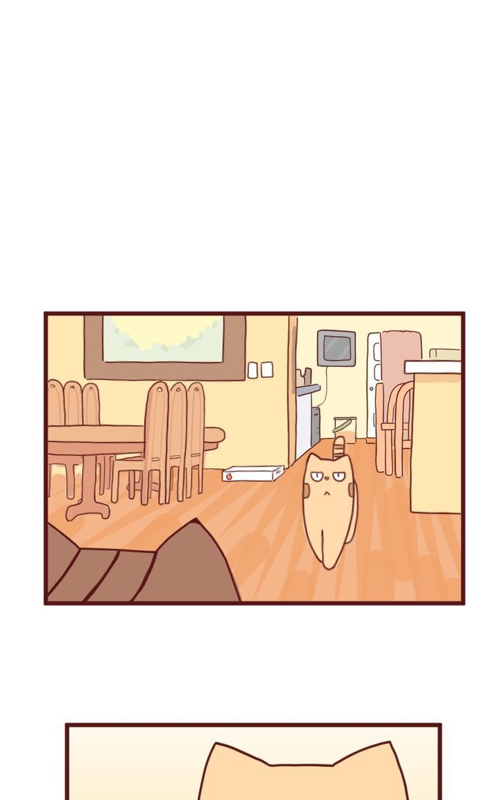 Saphie: The One-Eyed Cat Chapter 10 page 4 - Chapter 10 : Trendsetter