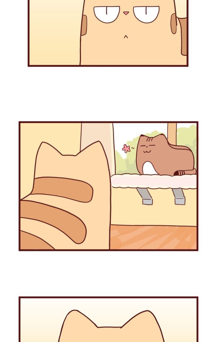 Saphie: The One-Eyed Cat Chapter 10 page 5 - Chapter 10 : Trendsetter