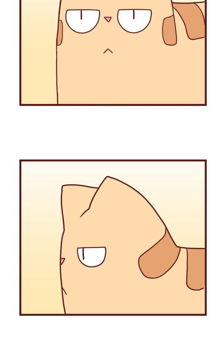 Saphie: The One-Eyed Cat Chapter 10 page 6 - Chapter 10 : Trendsetter
