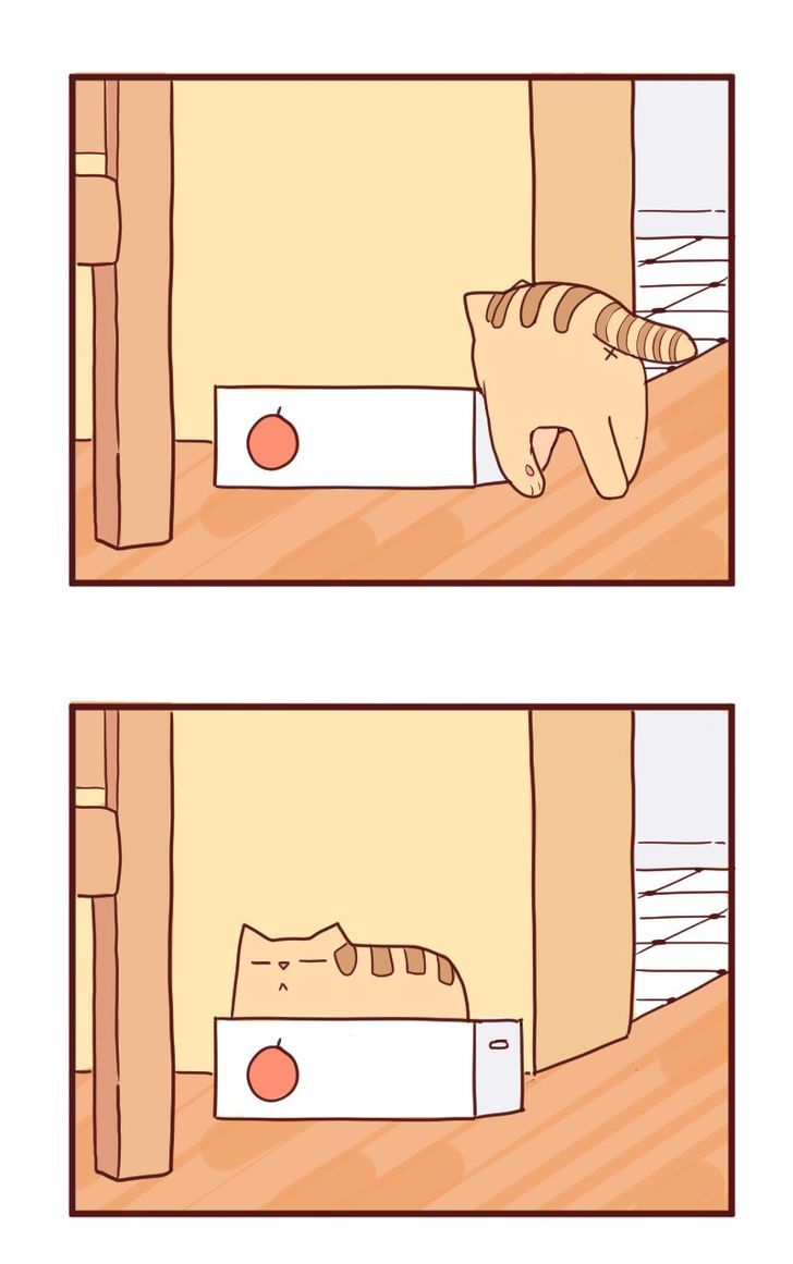Saphie: The One-Eyed Cat Chapter 10 page 7 - Chapter 10 : Trendsetter