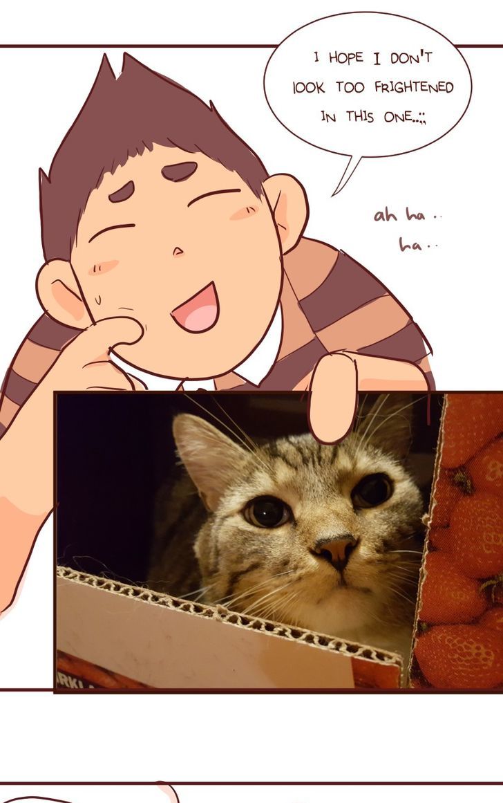 Saphie: The One-Eyed Cat Chapter 100 page 10 - Chapter 100