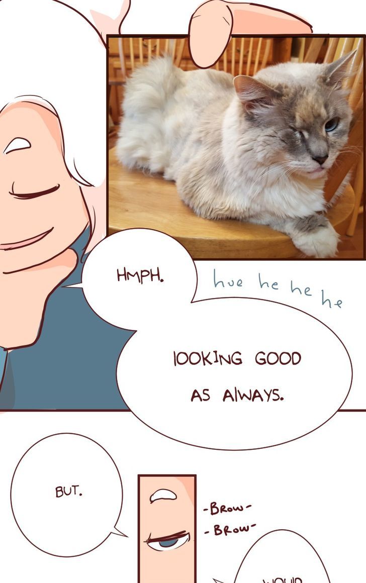Saphie: The One-Eyed Cat Chapter 100 page 11 - Chapter 100