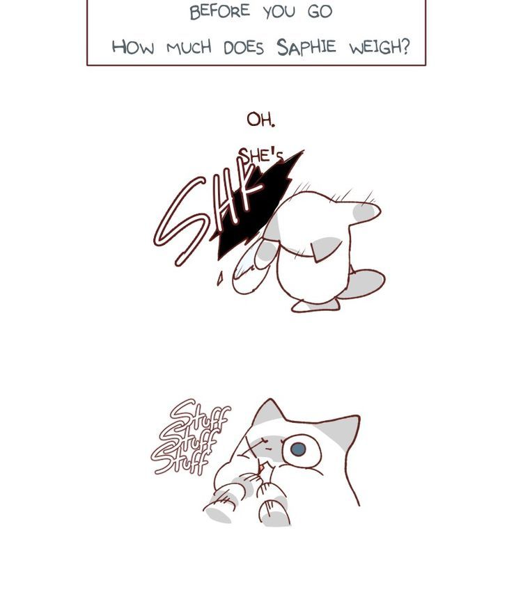 Saphie: The One-Eyed Cat Chapter 100 page 15 - Chapter 100