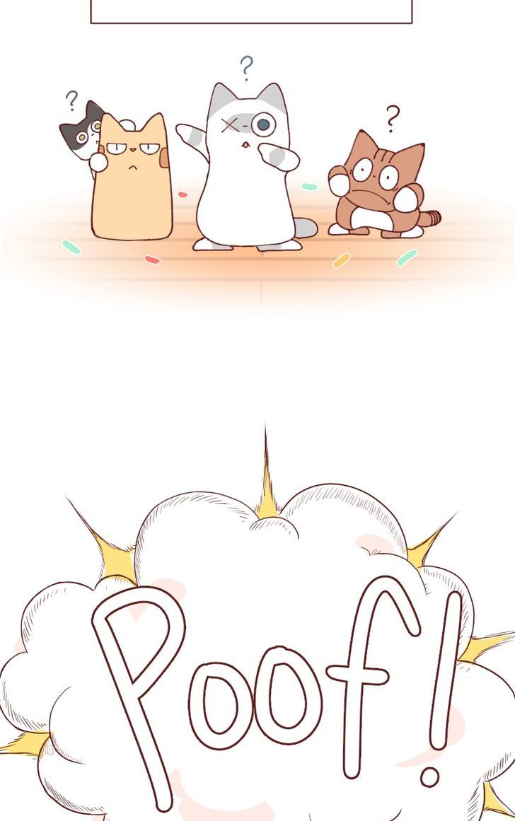 Saphie: The One-Eyed Cat Chapter 100 page 2 - Chapter 100
