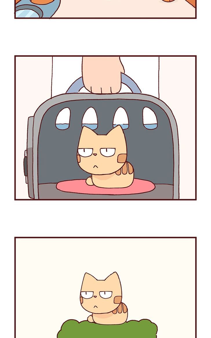 Saphie: The One-Eyed Cat Chapter 101 page 3 - Chapter 101