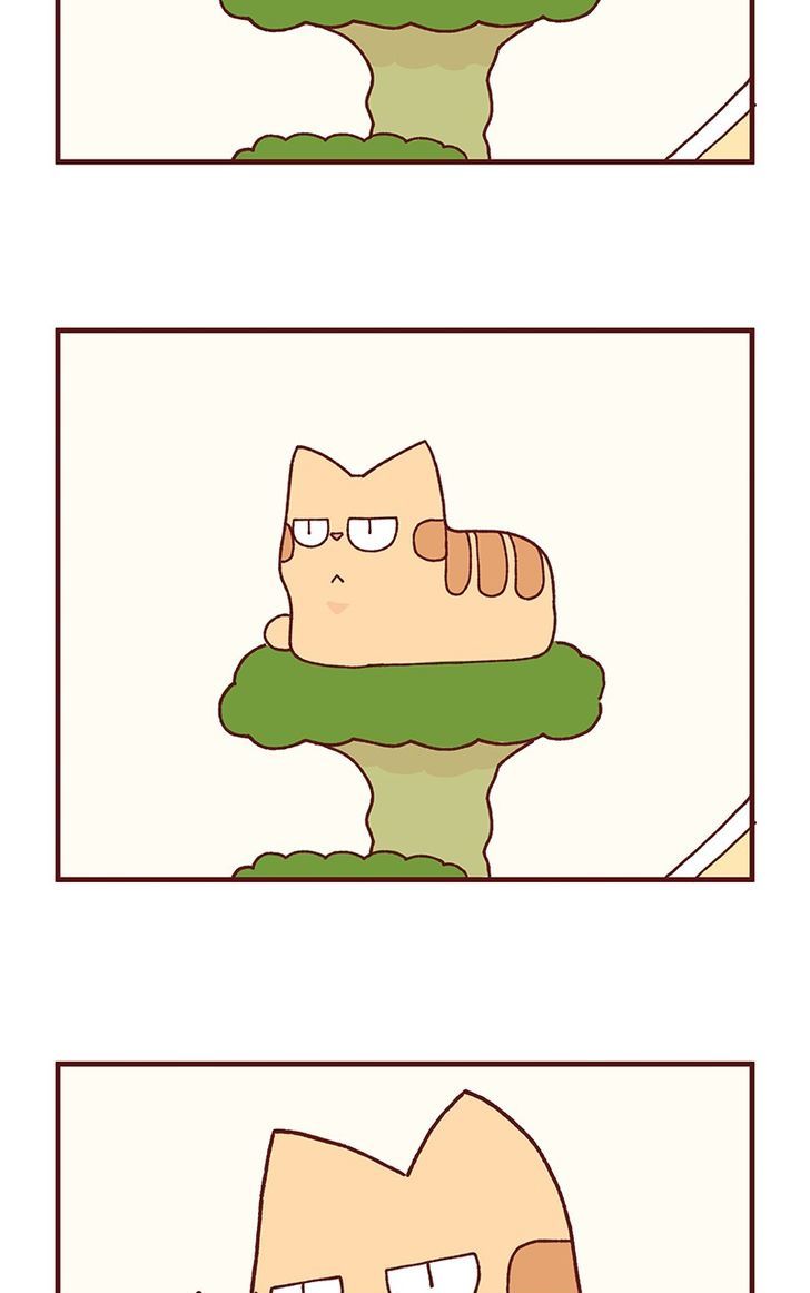 Saphie: The One-Eyed Cat Chapter 101 page 4 - Chapter 101