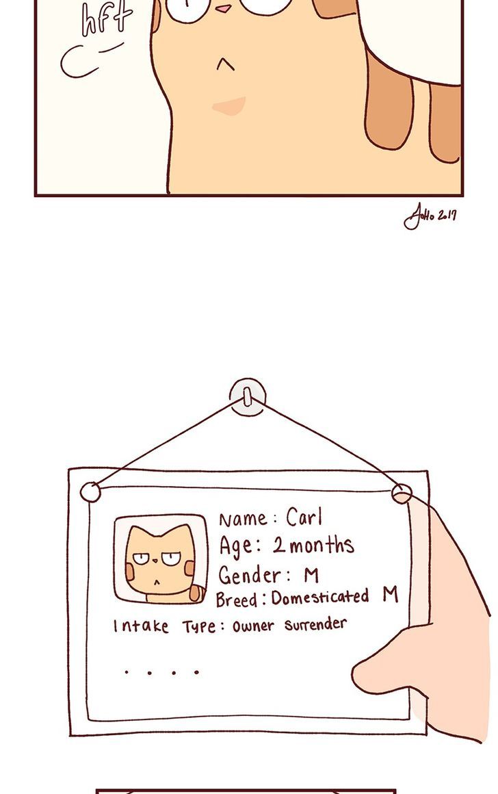 Saphie: The One-Eyed Cat Chapter 101 page 5 - Chapter 101