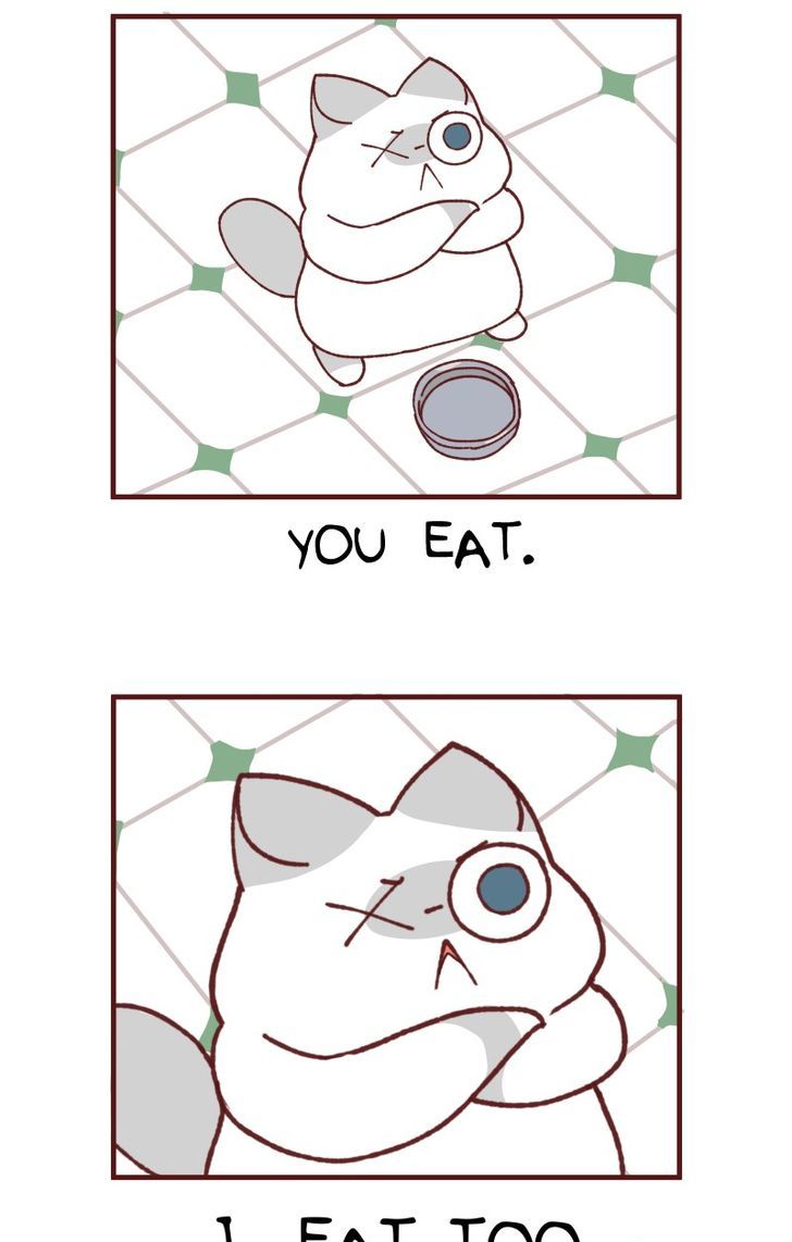 Saphie: The One-Eyed Cat Chapter 103 page 5 - Chapter 103