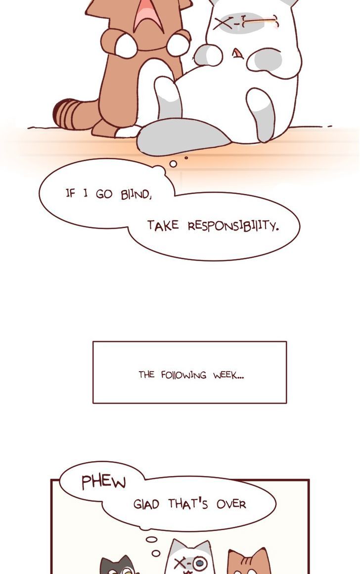 Saphie: The One-Eyed Cat Chapter 104 page 10 - Chapter 104