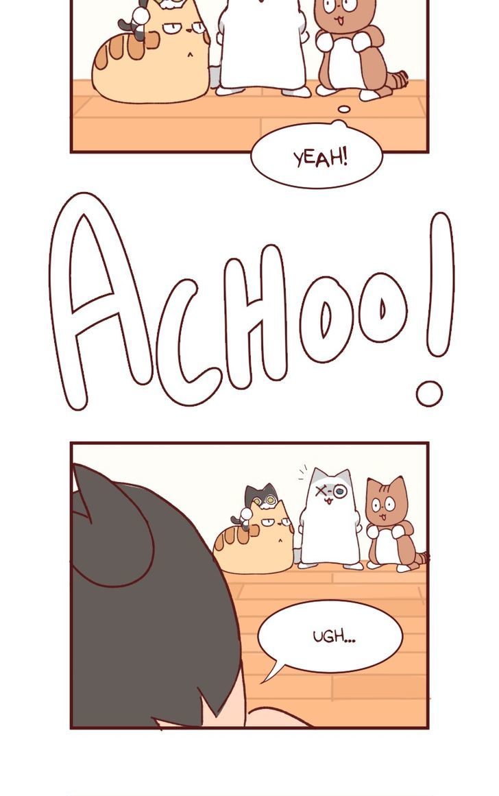 Saphie: The One-Eyed Cat Chapter 104 page 11 - Chapter 104