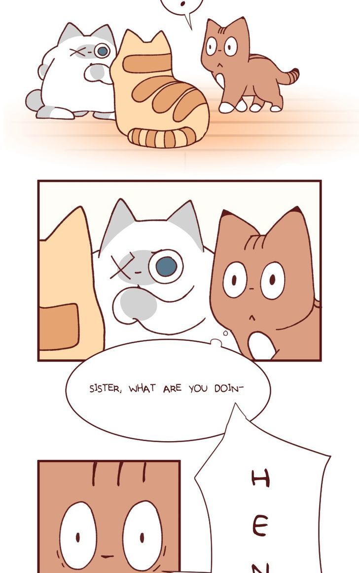 Saphie: The One-Eyed Cat Chapter 104 page 2 - Chapter 104