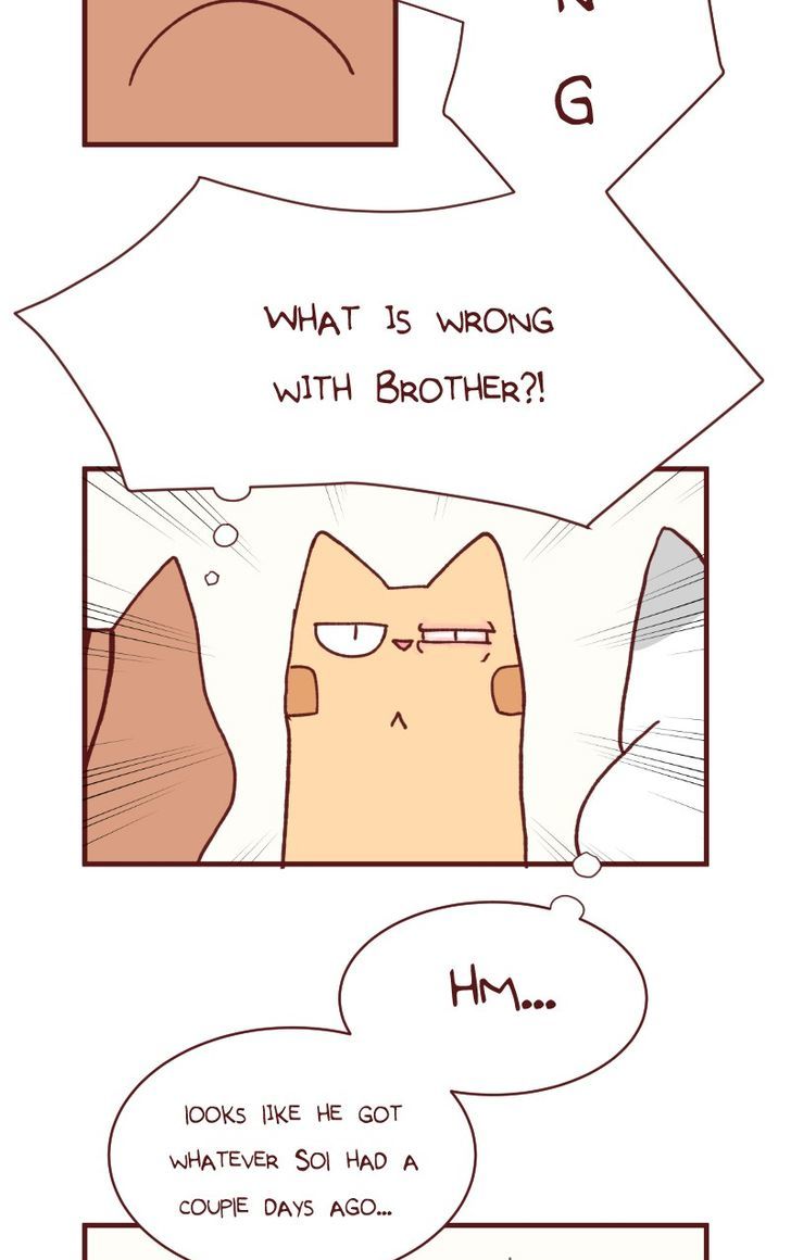 Saphie: The One-Eyed Cat Chapter 104 page 3 - Chapter 104