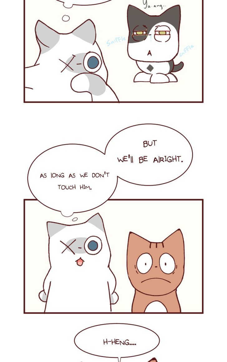 Saphie: The One-Eyed Cat Chapter 104 page 4 - Chapter 104